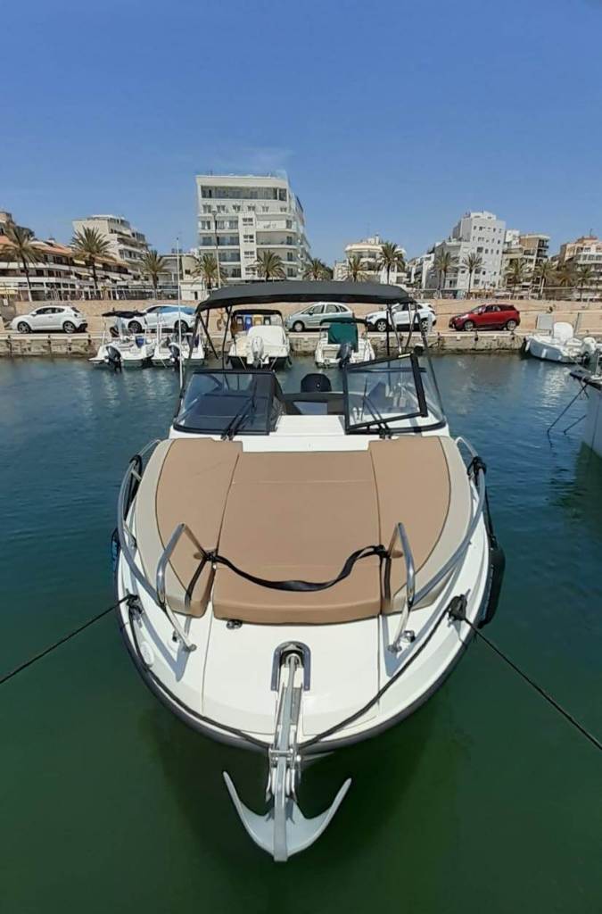 Quicksilver Activ 805 Cruiser (1)