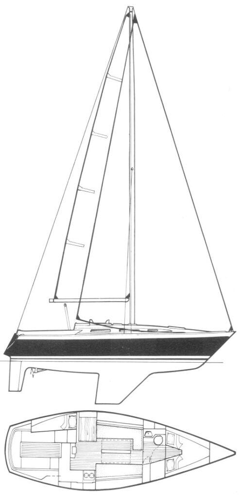 gladiateur_33_drawing-494x1024